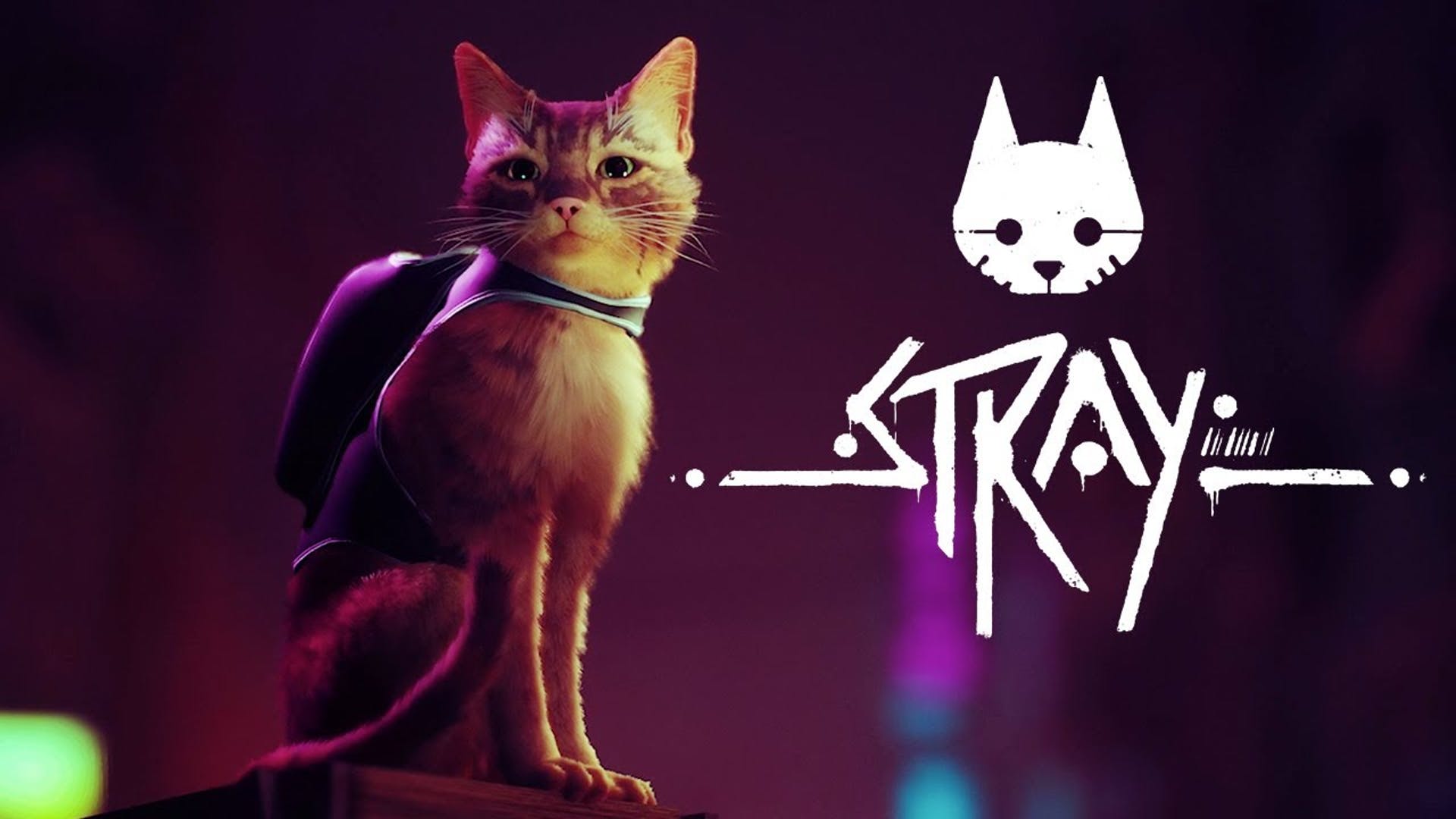 stray poster