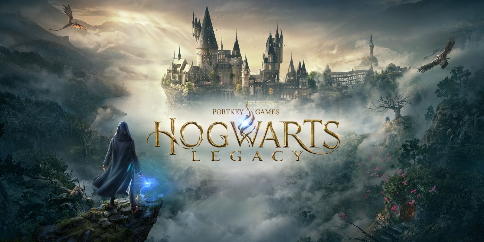 HogwartsLegacy